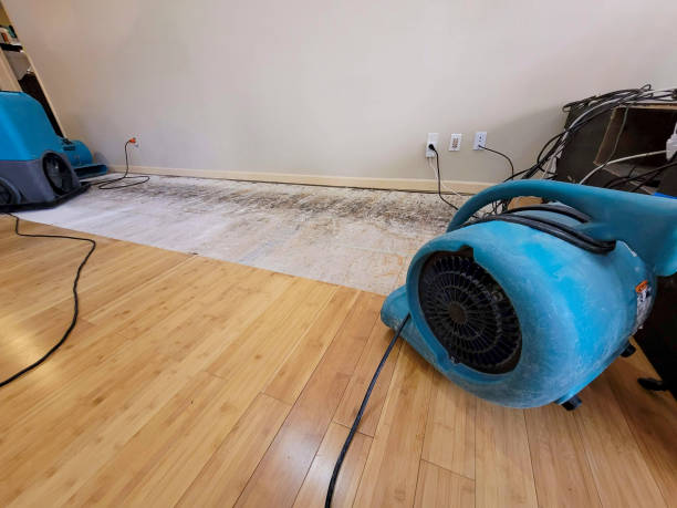 Professional Emergency Water Damage technician working in Amo, IN